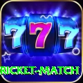 to day cricket match Pro v1.4.4