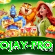 tojay VIP Edition v5.8.3