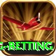 turkey super lig betting Elite Pro v3.0.6