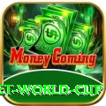 under 19 cricket world cup Deluxe v1.0.6