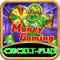 v cricket Mega v4.3.1