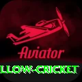 willow cricket Turbo Pro v2.1.8
