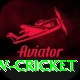 willow cricket Turbo Pro v2.1.8