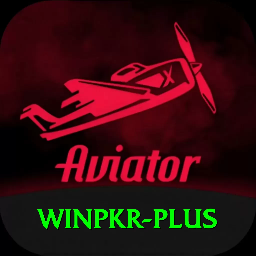 winpkr Deluxe Pro vv4.0.1 - 2